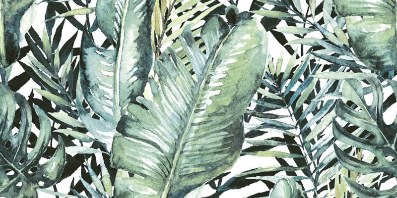 Dekor Nature Jungle Ceramstic 30 x 60 cm