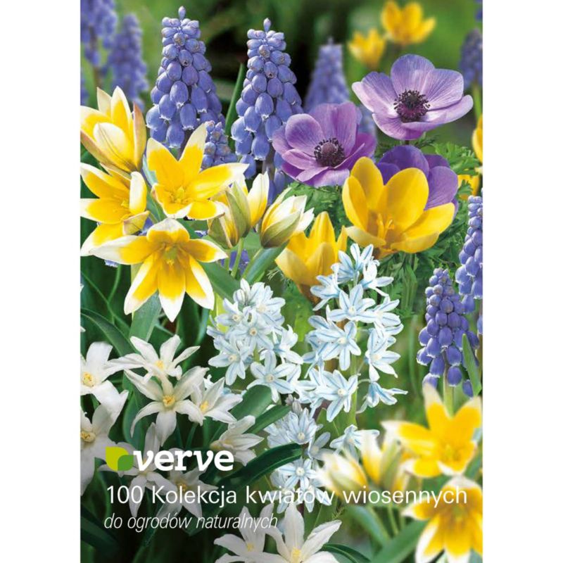 Cebule mix wiosenny Verve Naturalising 100 szt.