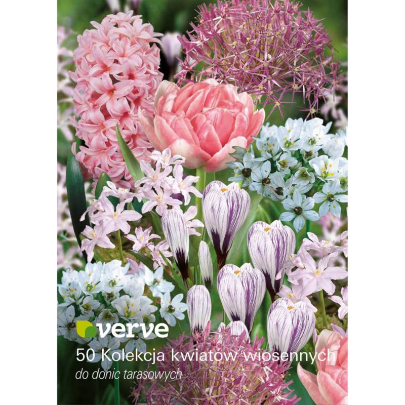 Cebule mix wiosenny Verve Patio 15 szt.