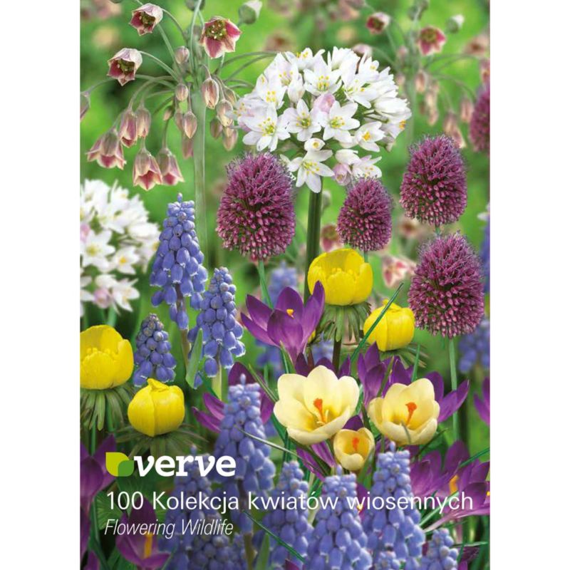 Cebule mix wiosenny Verve Wildlife 100 szt.