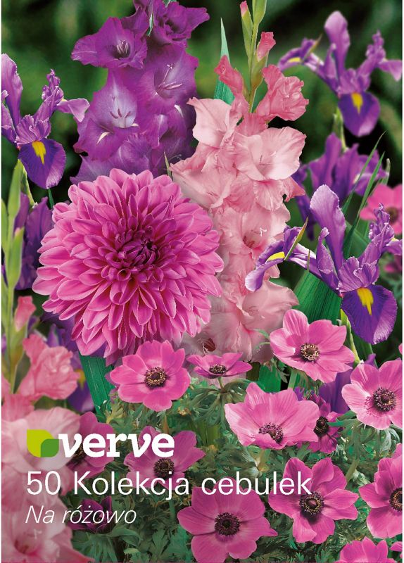 Cebule Verve Pretty in Pink mix 50 szt.