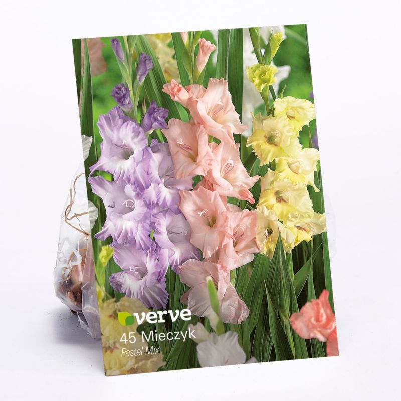 Cebule mieczyk Verve Pastel mix 50 szt.