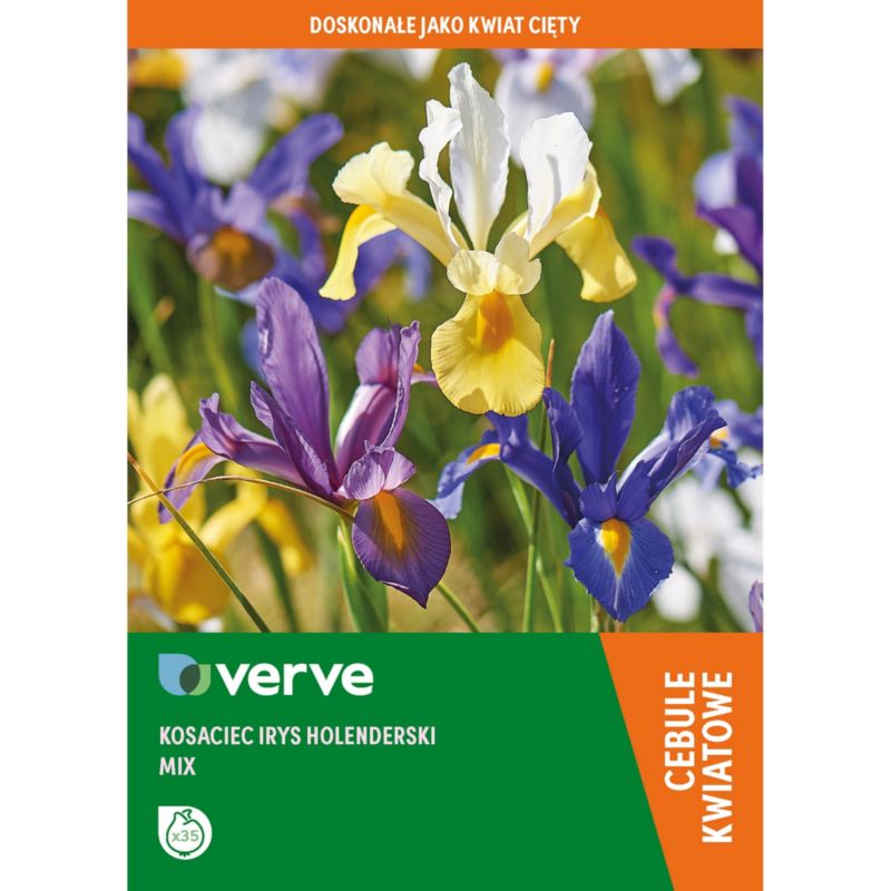 Cebule irys holenderski Verve mix 35 szt.