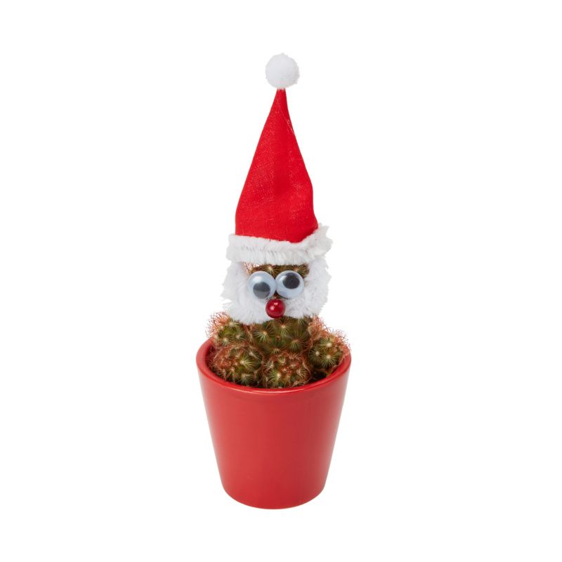 Zestaw Christmas Mikołaj mix 5,5 cm