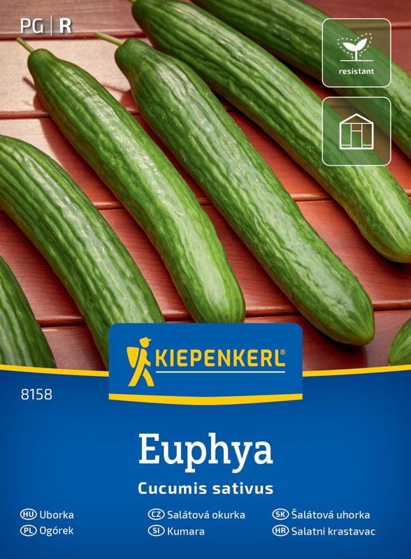 Nasiona ogórek Euphya