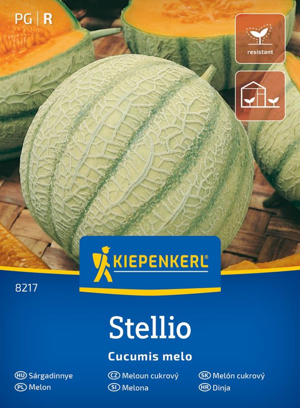 Melon Stellio