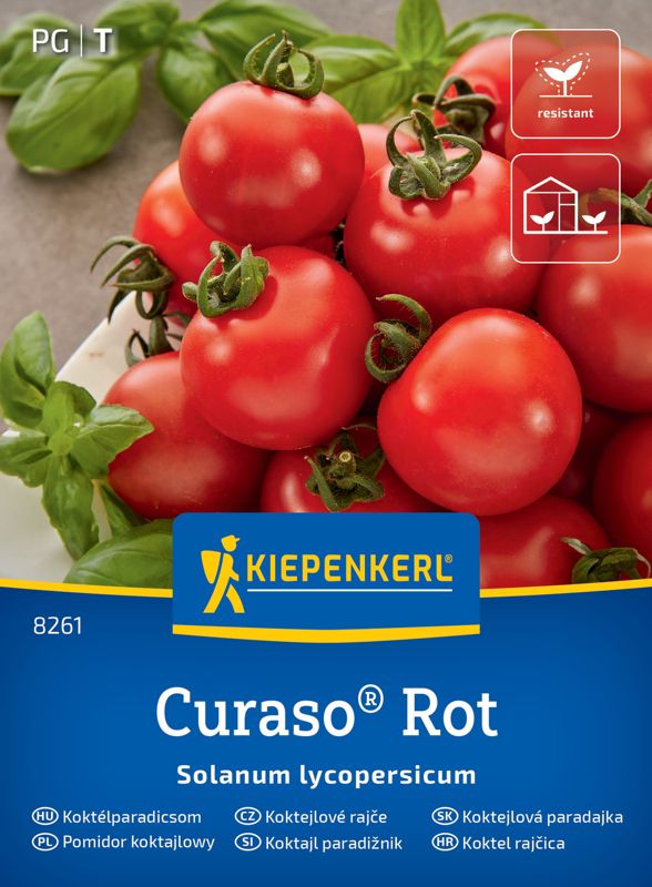 Pomidor koktajlowy Curaso Rot
