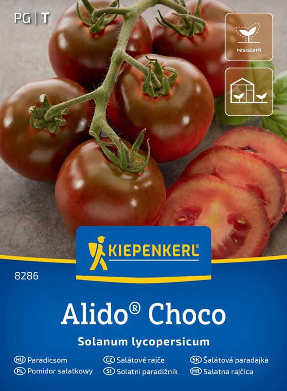 Pomidor sałatkowy Alido Choco
