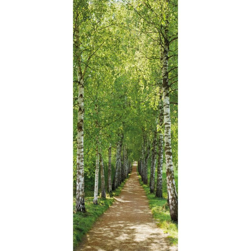 Fototapeta papierowa Birkenale 220 x 92 cm