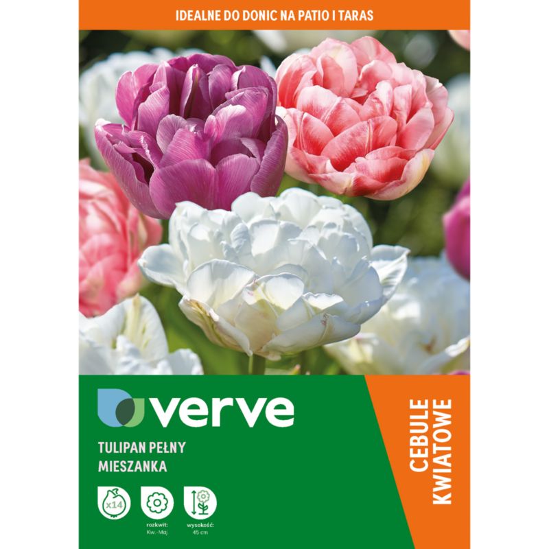 Tulipany double Verve mix 14 szt.