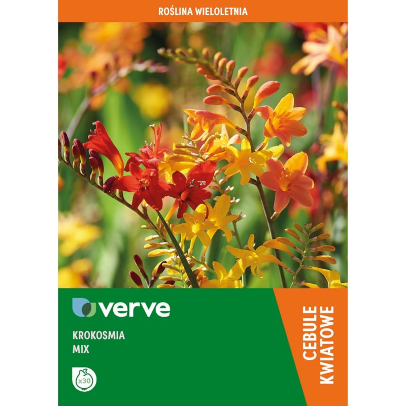 Cebule krokosmia Verve mix