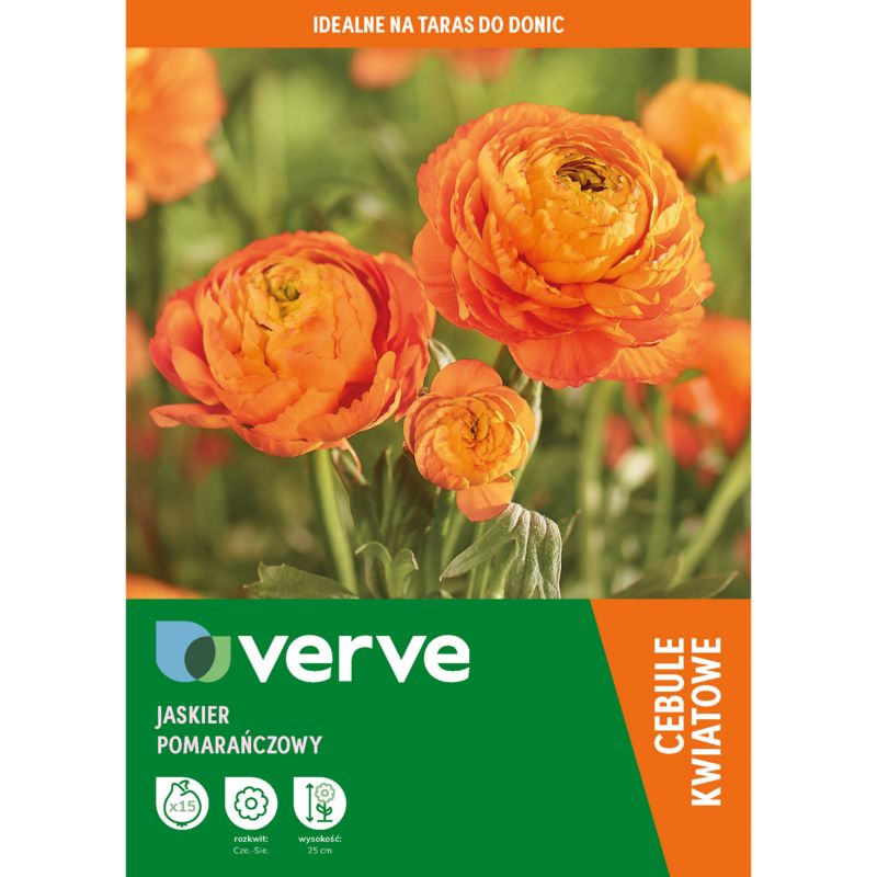 Cebule jaskier pomarańczowy Verve mix 15 szt.