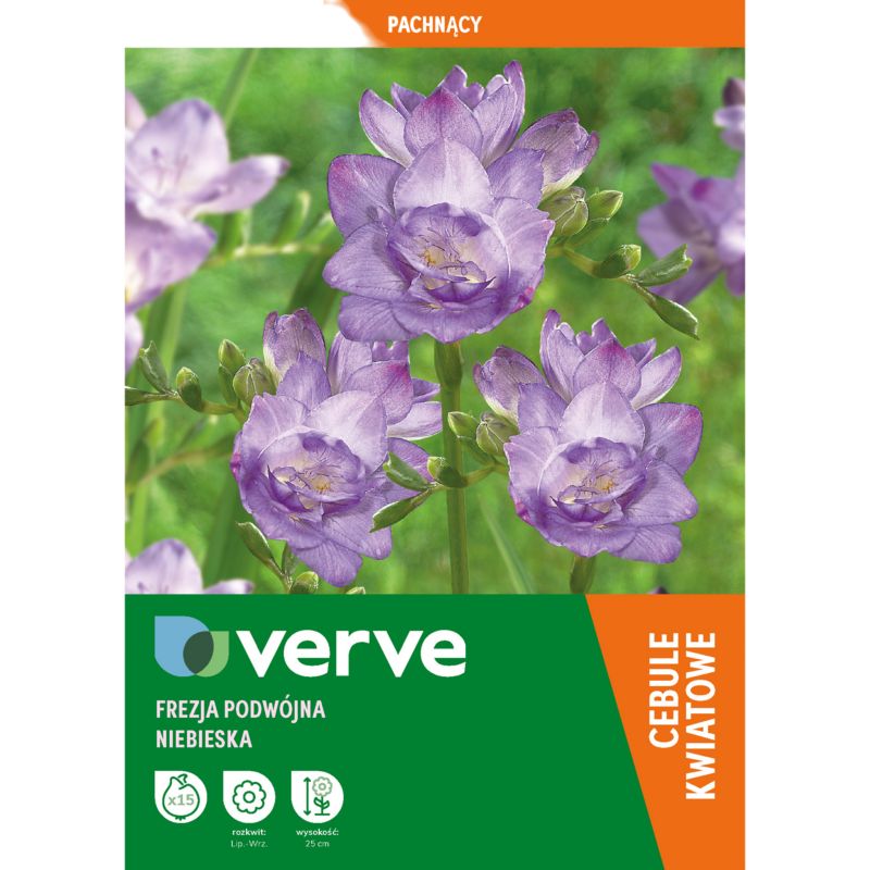 Cebule frezja Double Blue 15 szt.