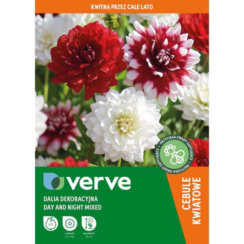 Cebule dalia dekoracyjna Verve Day and Night mix 5 szt.