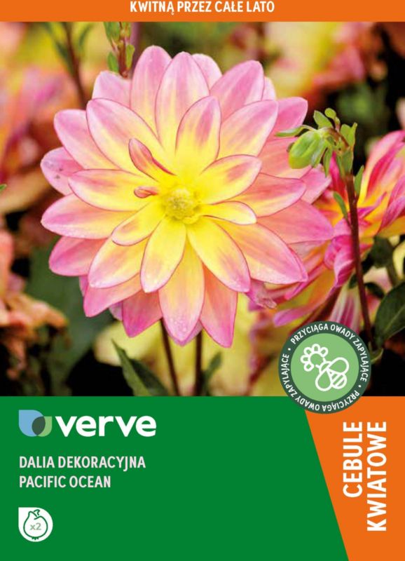 Dalia Pacific Ocean Verve