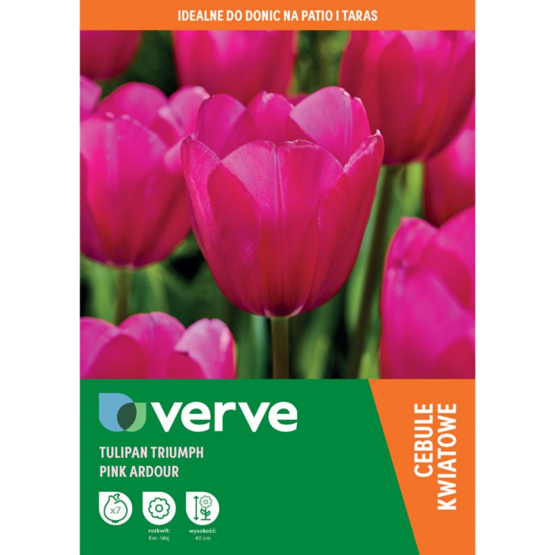 Tulipan wysoki Pink Ardour 7 szt.