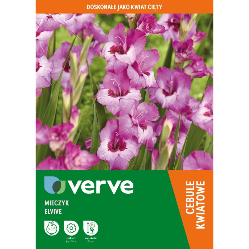 Mieczyk Elvive 15 szt.