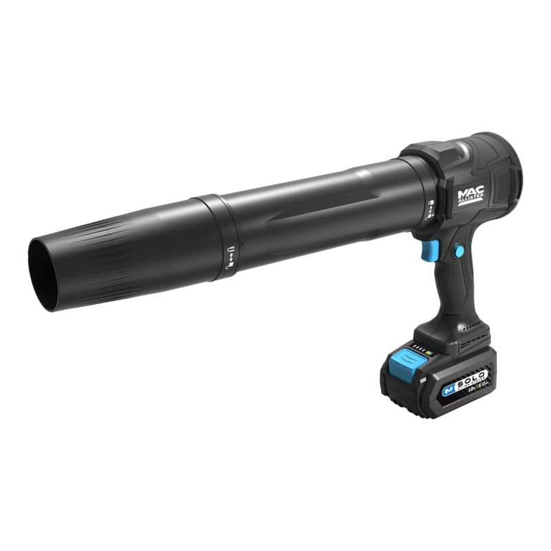 Mini dmuchawa akumulatorowa Mac Allister 18 V 5 Ah