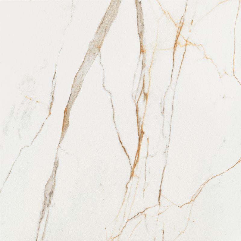 Gres Dorado Arte 59,8 x 59,8 cm stone lappato