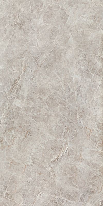 Gres mrozoodporny Root Arte 59,8 x 119,8 cm grey mat 1,43 m2