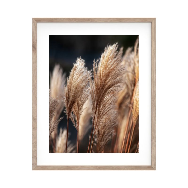 Plakat w ramie 40 x 50 cm pampa