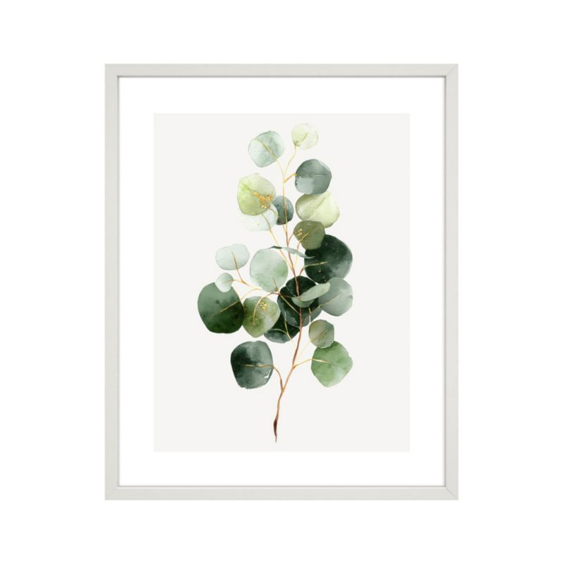 Plakat w ramie 40 x 50 cm eukaliptus