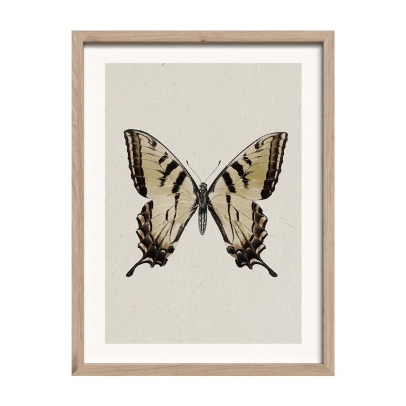 Obraz z ramą Modernpik 30 x 40 cm motyl