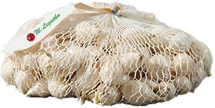Cebula dymka White Snowball W. Legutko 0,5 kg