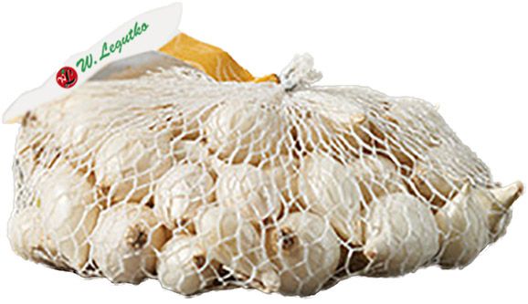 Cebula dymka White Snowball W. Legutko 0,25 kg