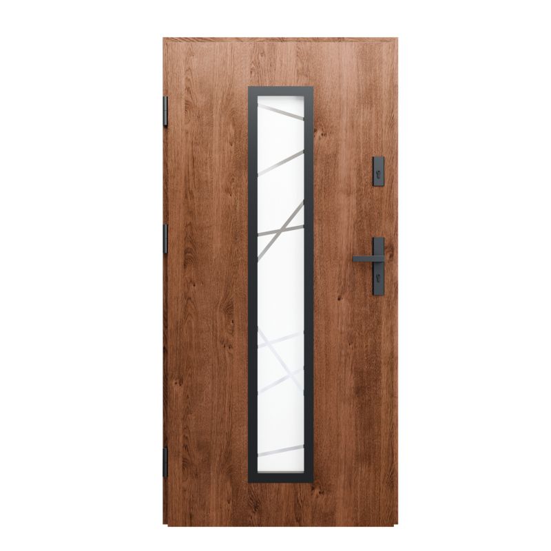 Drzwi zewnętrzne DIDORS Carbon Winchester 90 lewe