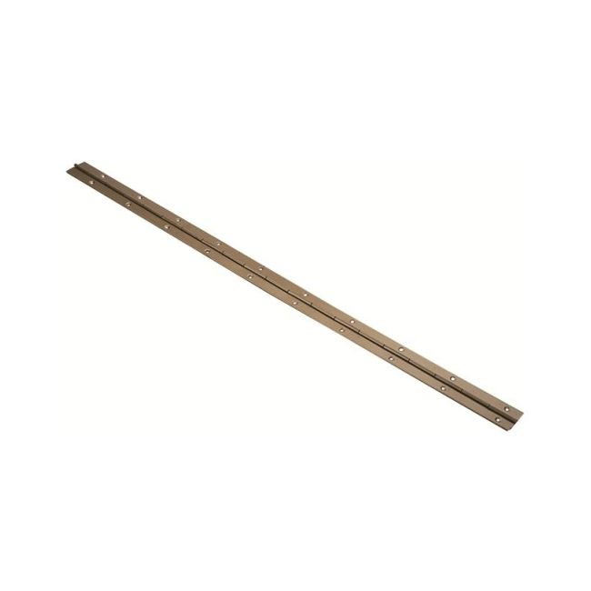 Zawias taśmowy 31 mm 1,7 m biały