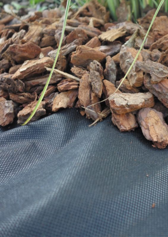 Agrotkanina Verve 3 x 3 m 50 g