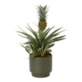 Ananas w doniczce ceramicznej Verve 12 cm wys. 40 cm