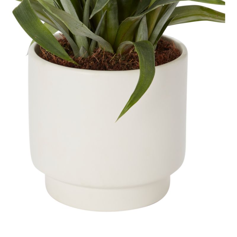 Ananas w doniczce ceramicznej Verve 12 cm wys. 40 cm