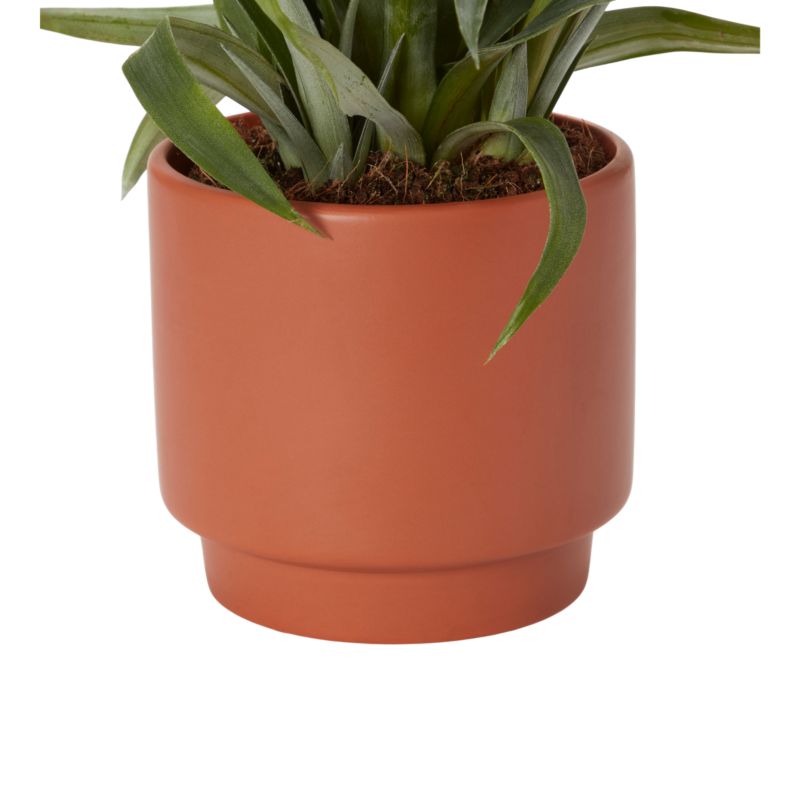 Ananas w doniczce ceramicznej Verve 12 cm wys. 40 cm