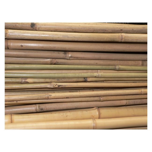 Bambus 210 cm fi 16-18 mm