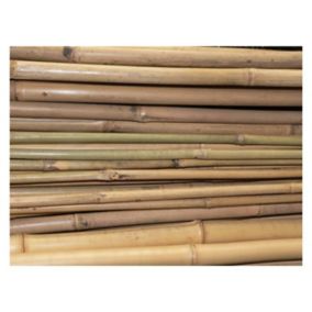 Bambus 210 cm fi 16-18 mm