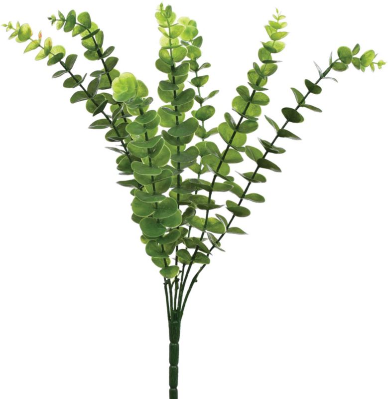 Bukiecik eukaliptusa Jumi zielony 50 cm