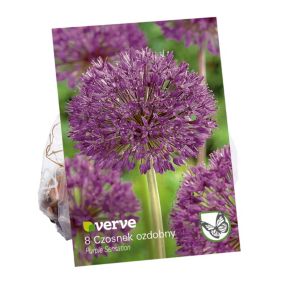 Cebule czosnek Verve Purple Sensation 8 szt.