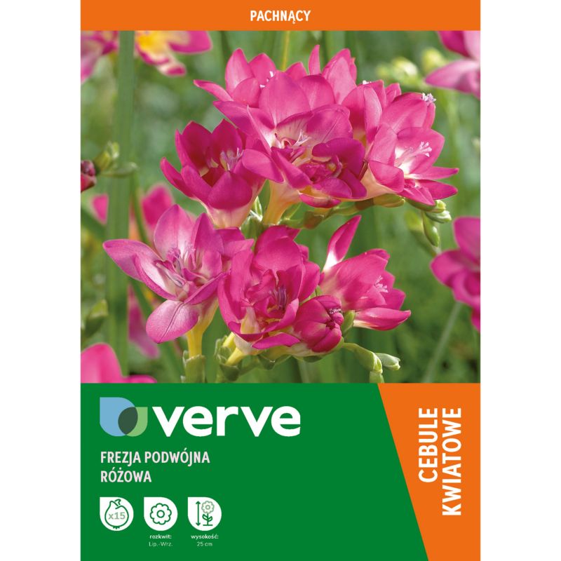 Cebule frezja Double Pink 15 szt.