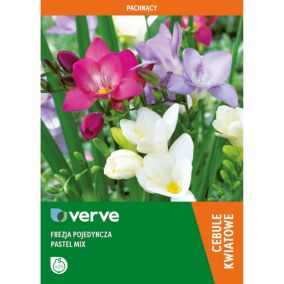 Cebule frezja pojedyncza Verve pastelowa mix