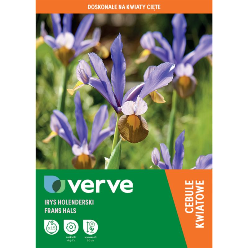 Cebule irys Verve Dutch Frans Hal 15 szt.