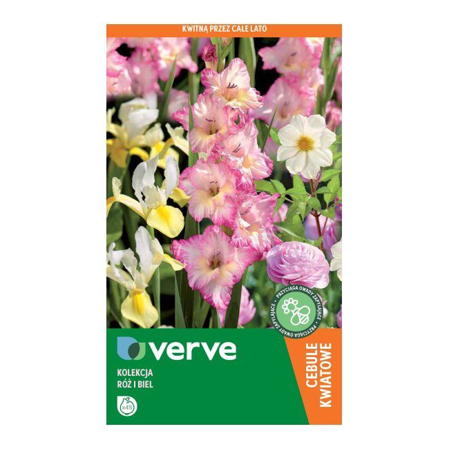 Cebule kolekcja kwiatów Verve różowy / biały