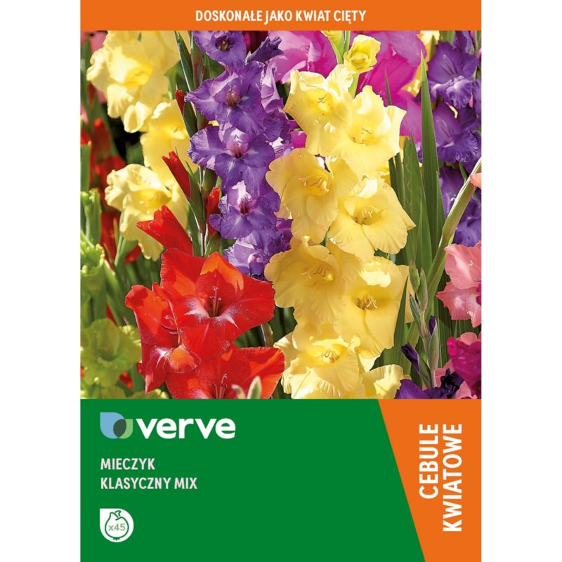 Cebule mieczyk klasyczny Verve mix 50 szt.