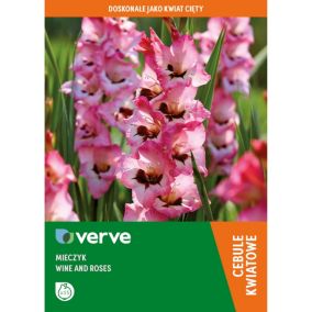Cebule mieczyk Verve Wine and Roses 15 szt.