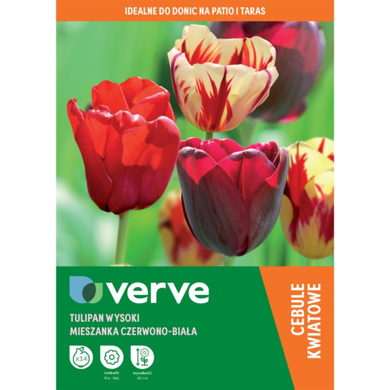 Cebule tulipan podwójny wczesny Verve mix 14 szt.