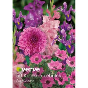 Cebule Verve Pretty in Pink mix 50 szt.