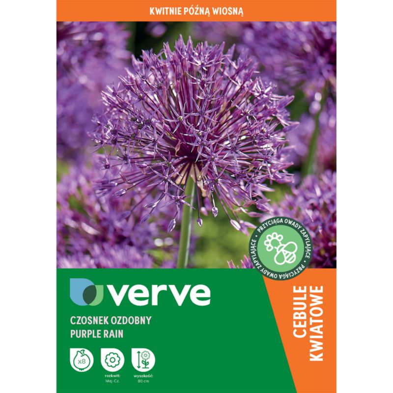 Czosnek ozdobny Verve Purple Rain 8 szt.