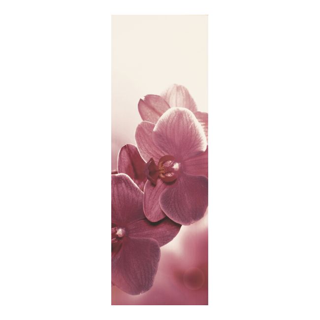 Dekor Abrila Paradyż 20 x 60 cm kwiat B