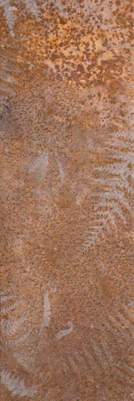 Dekor Kalahari Paradyż 25 x 75 cm metal rust A